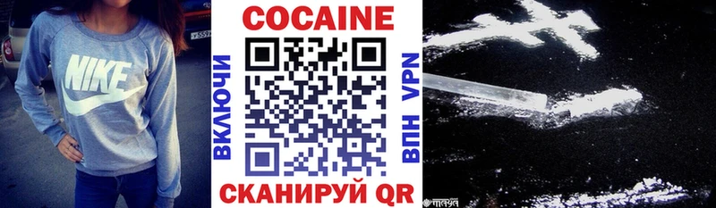 где купить   Богданович  КОКАИН Fish Scale 