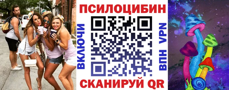Псилоцибиновые грибы Psilocybine cubensis  сколько стоит  площадка клад  Богданович 